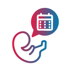 Due Date Calculator